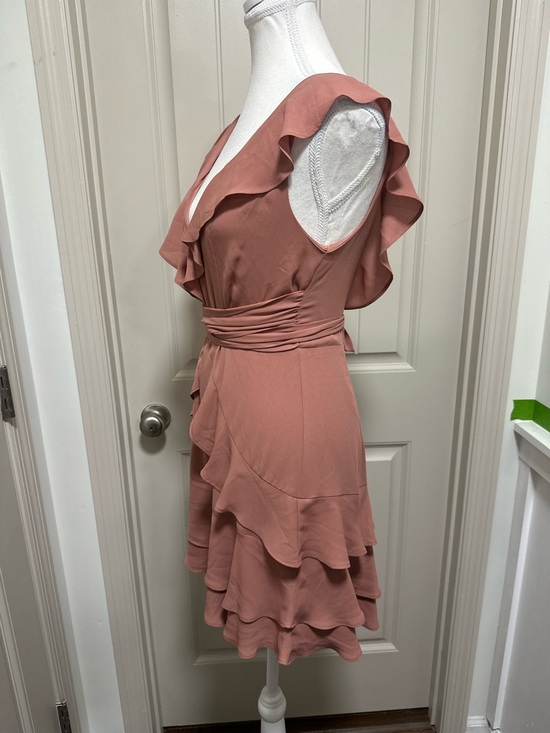 Express Rose Ruffle V-Neck Mini Dress - Picture 3 of 6